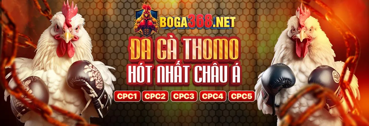Các lựa chọn thanh toán đa dạng của 79king78 hiện đang mở